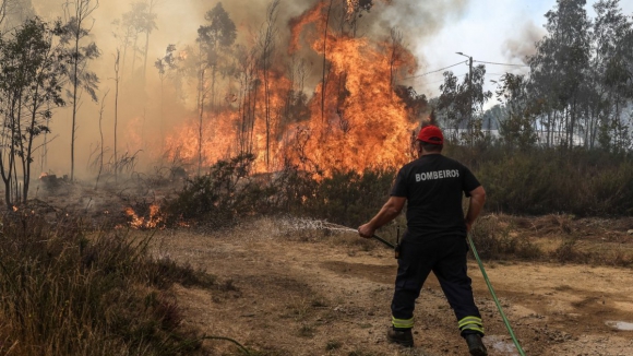 Três aldeias em risco de incêndio no concelho de Mangualde