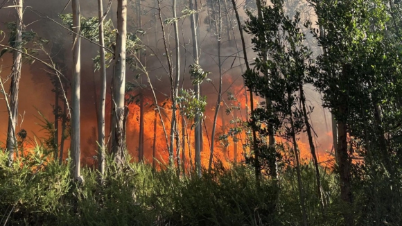 Incêndio em Gondomar obriga GNR a retirar idosos das casas