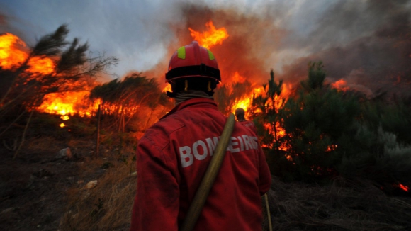 Três bombeiros morrem em acidente a caminho de combate na zona de Viseu