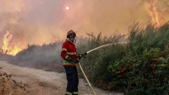 Mais de 250 bombeiros morreram em serviço nos últimos 44 anos