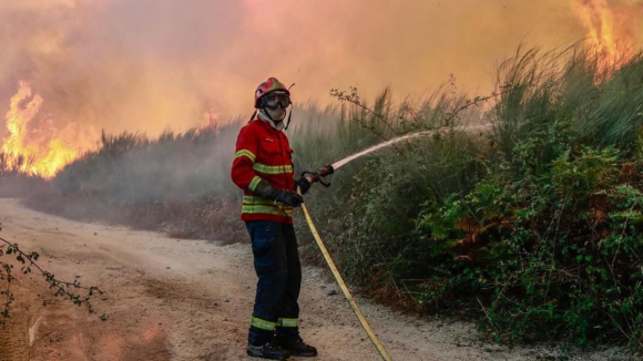 Mais de 50 concelhos em perigo máximo de incêndio