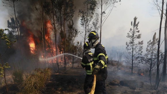 Incêndio em Arouca com três frentes ativas, estradas cortadas e escolas fechadas