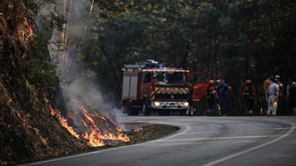 Incêndios continuam a assolar Norte do país. Confira as estradas cortadas