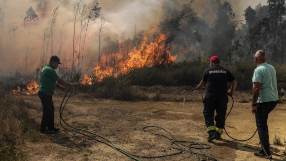 Fogo perto de casas em Águeda. Escolas estão fechadas