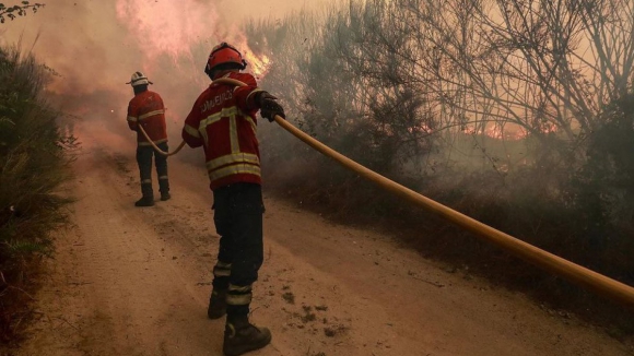 Só três das 14 freguesias de Vila Pouca de Aguiar escaparam aos incêndios