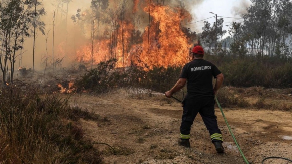 Fogo em Albergaria-a-Velha em resolução