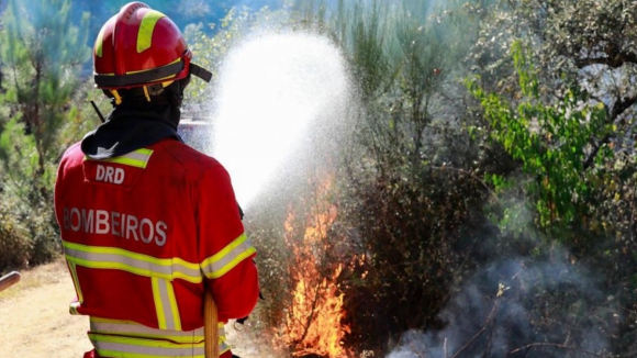 Homem de 54 anos detido por atear fogo em Murtosa