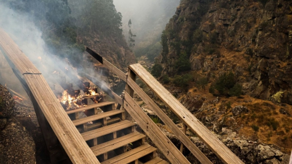 Fotógrafo de Arouca resgatou cabras e um pónei antes de fogo chegar ao passadiço