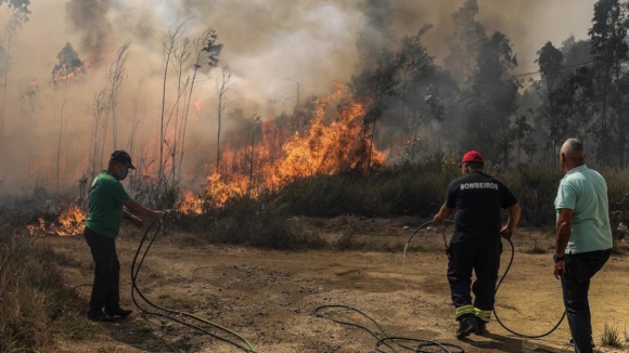 "Foi um dia bom hoje". Inc&ecirc;ndios em Aveiro evoluem de forma favor&aacute;vel