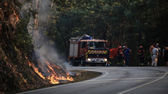 Incêndios obrigam a cortar estradas nacionais em Aveiro e Viseu