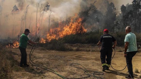 PJ detém suspeito de atear fogo em Albergaria-a-Velha