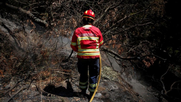 Fogo que lavra em Amarante está controlado