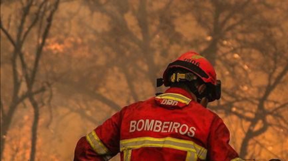 Dominados os fogos de Oliveira de Azeméis, Sever do Vouga, Albergaria e Águeda