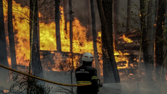 Fogos em Aveiro estão "completamente dominados"