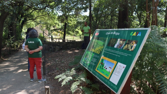 Parque Biológico de Gaia reabre na sexta-feira