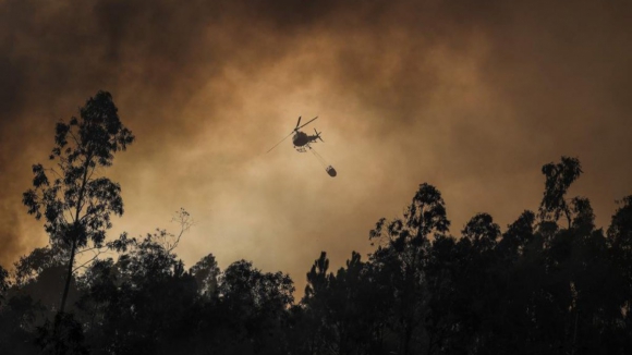 Algumas zonas de produção de vinho verde afetadas pelos incêndios, mas seguros cobrem possíveis perdas