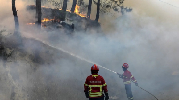 Incêndios de Peso da Régua e de Alijó em resolução