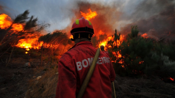 Incêndios em Castro Daire são os únicos em curso em Portugal continental