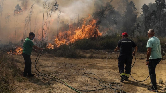 Homem detido por atear quatro fogos em Sever do Vouga