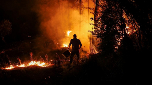 Cerca de 135 mil hectares arderam entre domingo e sexta-feira