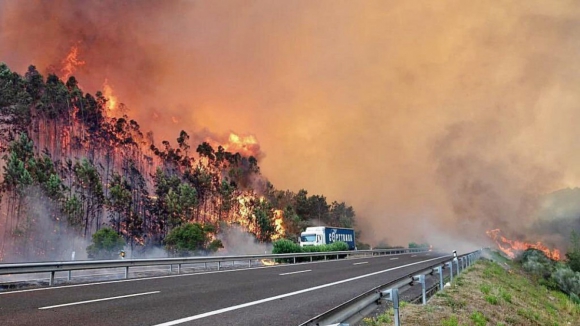 Cidadãos saem à rua em 12 localidades para protestar contra incêndios