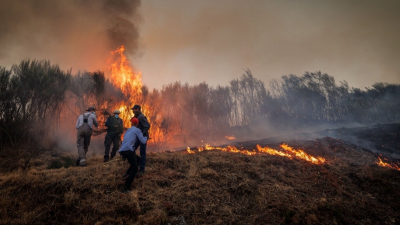 Investigador acredita que fogos poderiam "ter sido bastante pior se tivéssemos tido um ano seco"