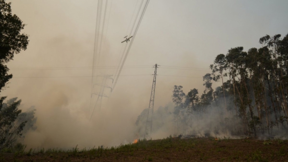 Cerca de 1.700 hectares ardidos no planalto de Monforte em Chaves