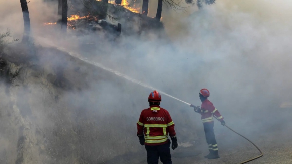 Governo garante qualidade da água em Aveiro apesar dos incêndios mas admite condicionamentos