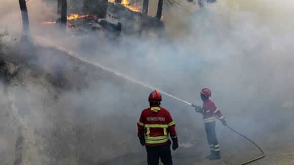 Homem e mulher morrem após sofrerem queimaduras nos incêndios de Albergaria-a-Velha