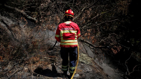 Homem e mulher morrem após sofrerem queimaduras nos incêndios de Albergaria-a-Velha