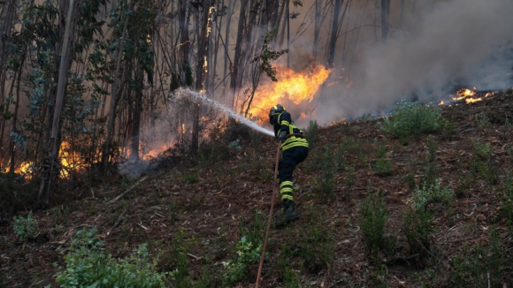 Ministra admite relação de fogos com alterações climáticas