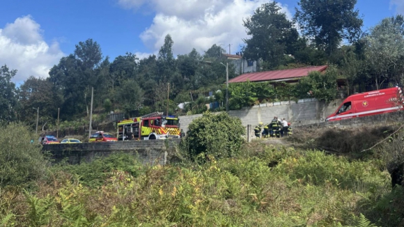 Homem ferido com gravidade após ser atingido por árvore em Albergaria-a-Velha