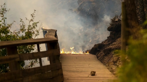 Incêndios. Arouca contabiliza mais de cinco milhões de euros em prejuízos e 350.000 são nos passadiços