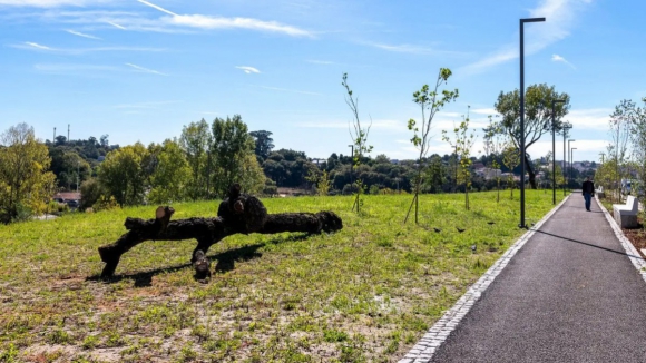 Câmara do Porto inaugura parque em Campanhã e destaca reabilitação de mais 30 hectares de espaços verdes