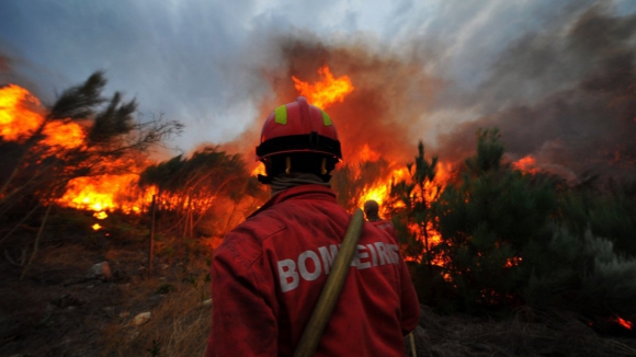 Incêndios causaram prejuízo de quatro milhões de euros em Vila Pouca de Aguiar