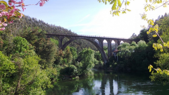 "Qualquer dia não temos rio". Autarca de Sever do Vouga alerta para assoreamento do rio Vouga