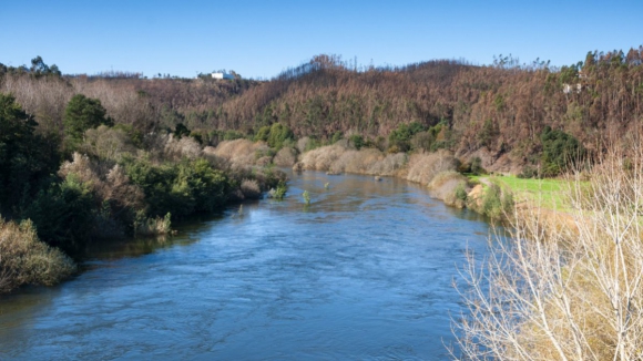 Aveiro avança com obra para fechar rombo na margem do rio Vouga