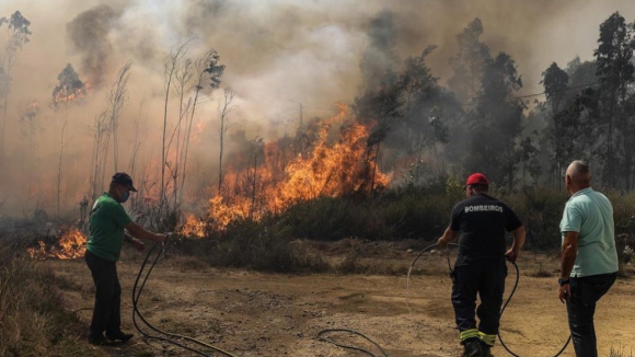 Fogo em Albergaria-a-Velha causou prejuízo de 30 milhões de euros