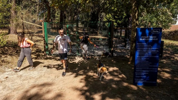 Aprovada proposta para replicar parque canino do Covelo noutros espaços verdes do Porto