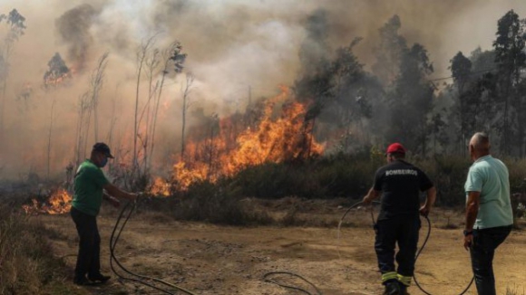 Mais de um terço dos fogos deste ano tiveram origem voluntária