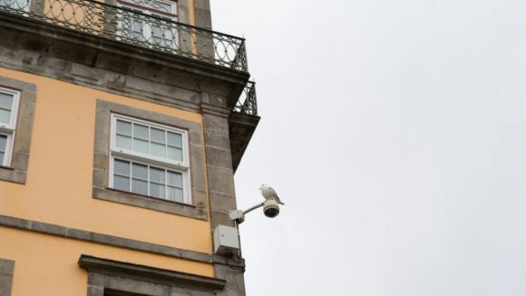 Videovigilância avança no Porto após autorização do Governo