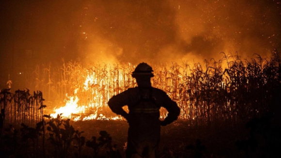 PJ detém homem de 40 anos suspeito de atear fogos em Braga e Barcelos