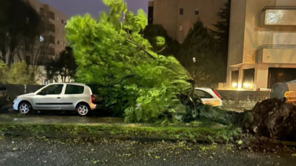 Tempestade Kirk derrubou mais de 130 árvores em Braga