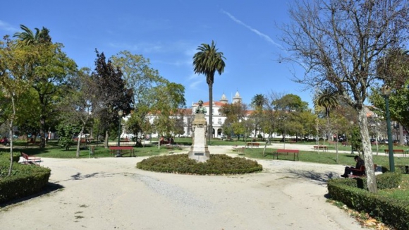 Adaptação do turismo no Porto às alterações climáticas passa por arborização, defende estudo