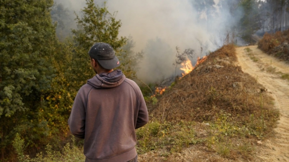 Agricultores afetados pelos incêndios no norte declararam 2,4 milhões de euros de prejuízos 