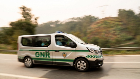 GNR apreende 13 mil litros de álcool e 11 mil cigarros em comércios do Norte