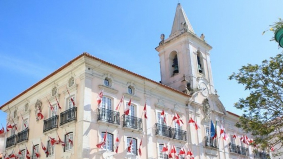 Câmara de Aveiro encaixou 9,6 milhões de euros com leilão de cais para moliceiros turísticos