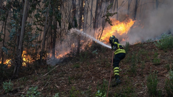 Vítimas dos fogos em Gondomar entre os destroços e a burocracia dos apoios