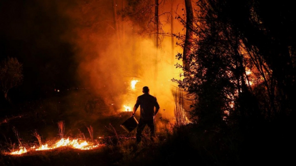 Mais de 900 agricultores do Norte declararam prejuízos de 3,6 milhões devido aos incêndios