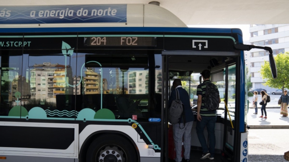 Transportes devem fazer subir emissões em 2024, diz associação Zero